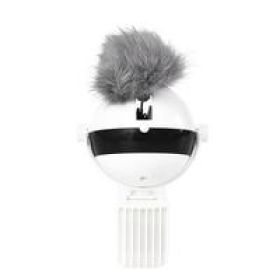 Pet Cat Toy Electronic Motion Cat Toy Interactive (Option: White)